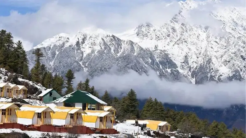 Scenic winter view of snow-covered Auli slopes with pine trees and a cable car in the background, perfect for a Himalayan ski getaway.