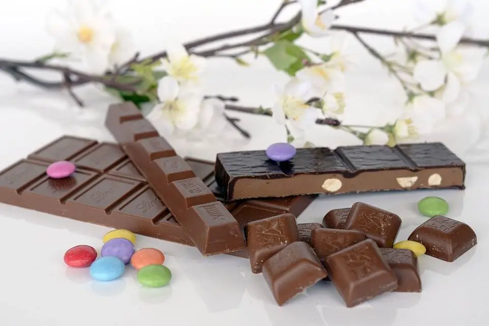 alawyersavoyage Swiss Chocolate