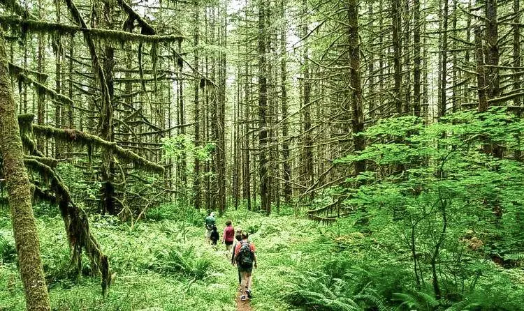alawyersvoyage Trekking Andaman