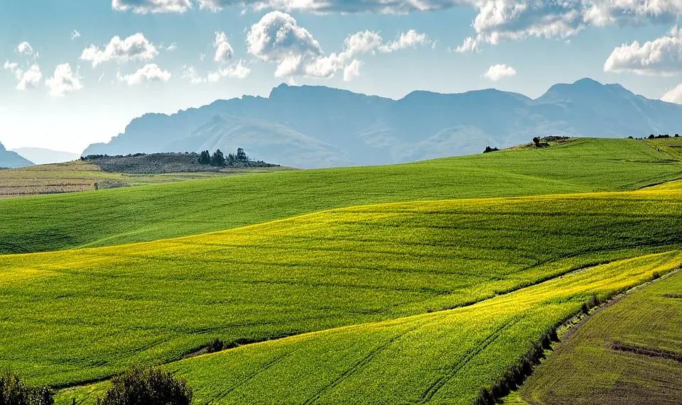 alawyersvoyage Swellendam South Africa