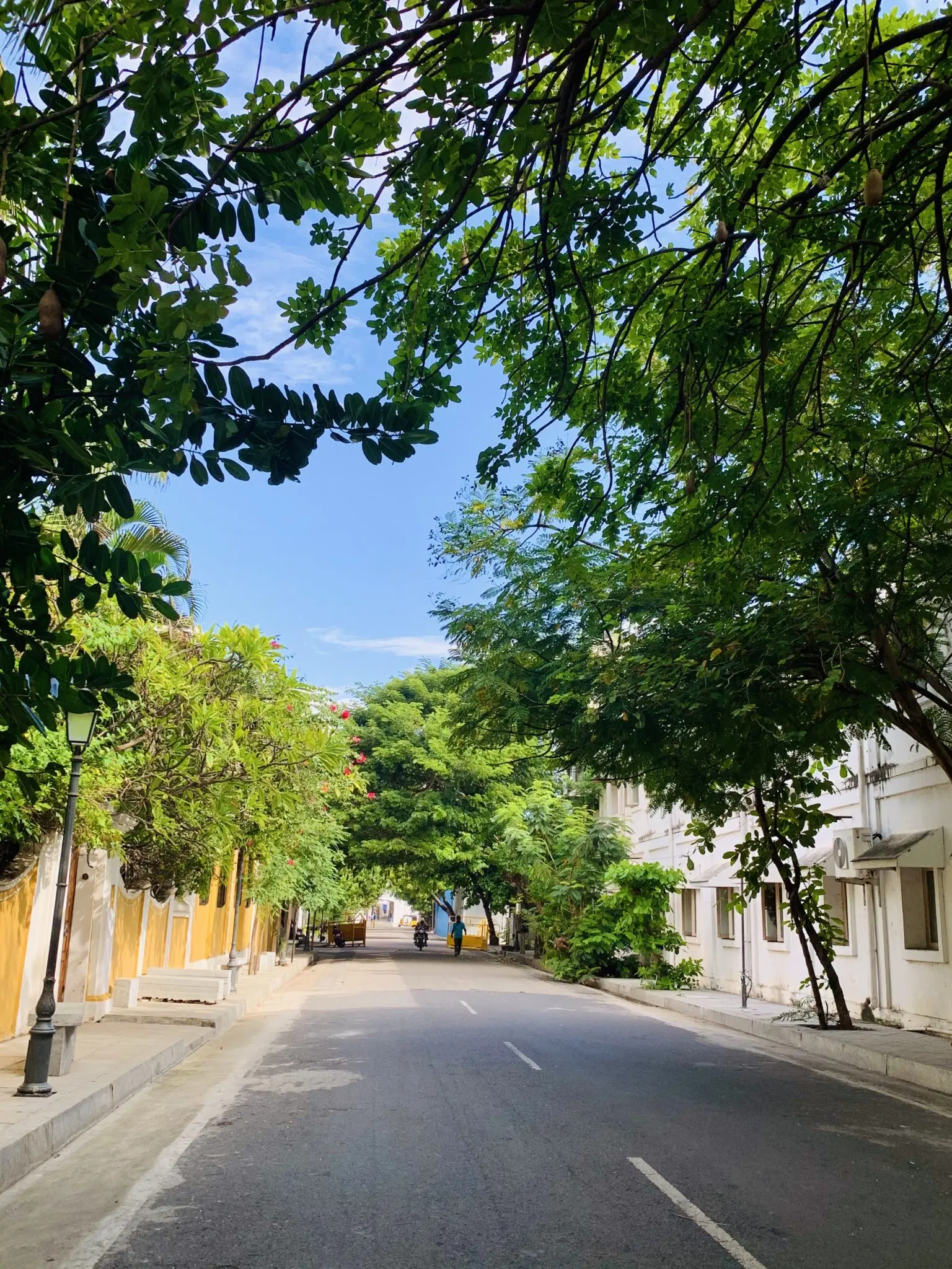 Pondicherry Itinerary- White Town
