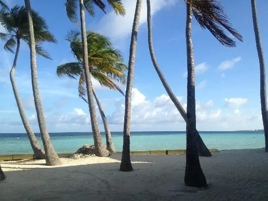 Maafushi - Local island in maldives
