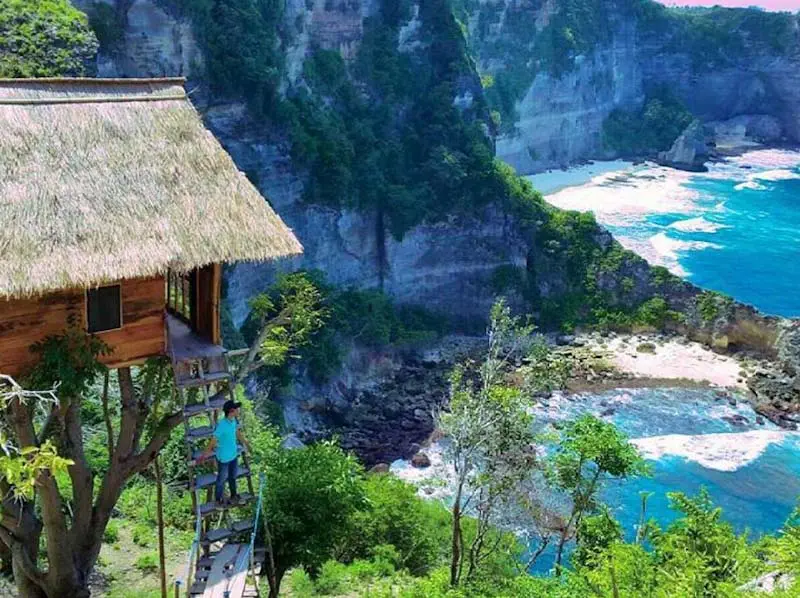 tree house bali