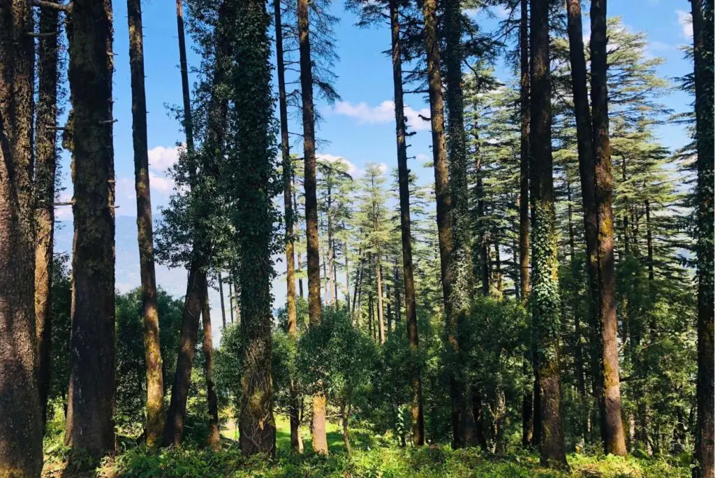mussoorie itinerary- additional attractions